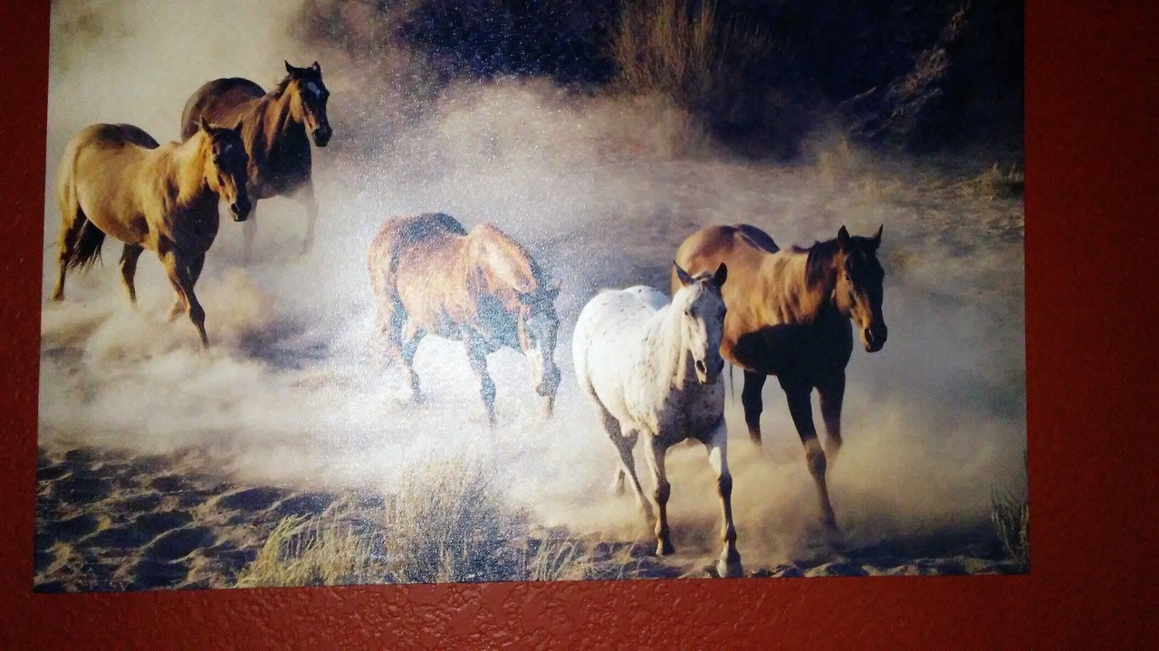 Photo of Bedroom in Holiday Ranch Estates