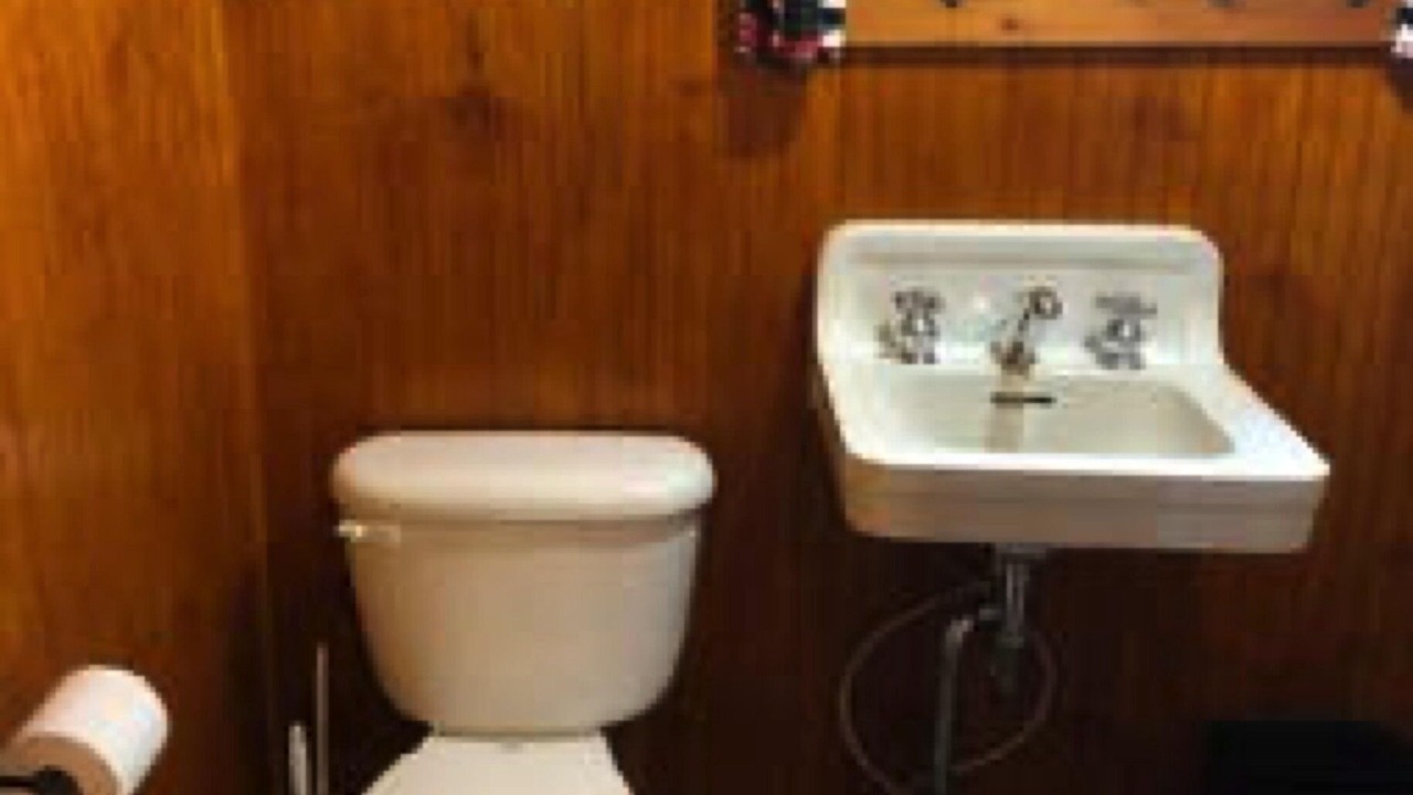 Photo of Bathroom in Carp Lake