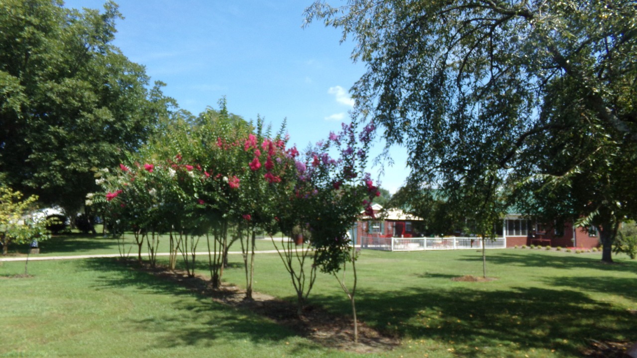 Photo of Outdoor in Estill Springs