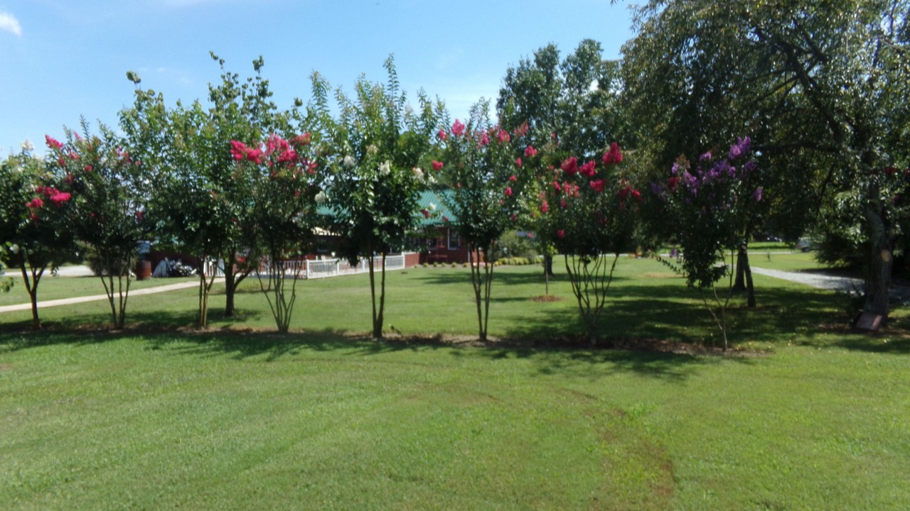 Photo of Others in Estill Springs