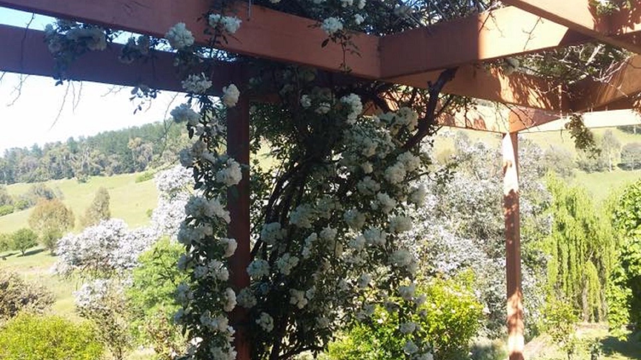 Photo of Outdoor in Rosewhite