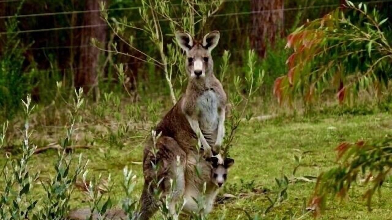 Photo of Others in Hepburn