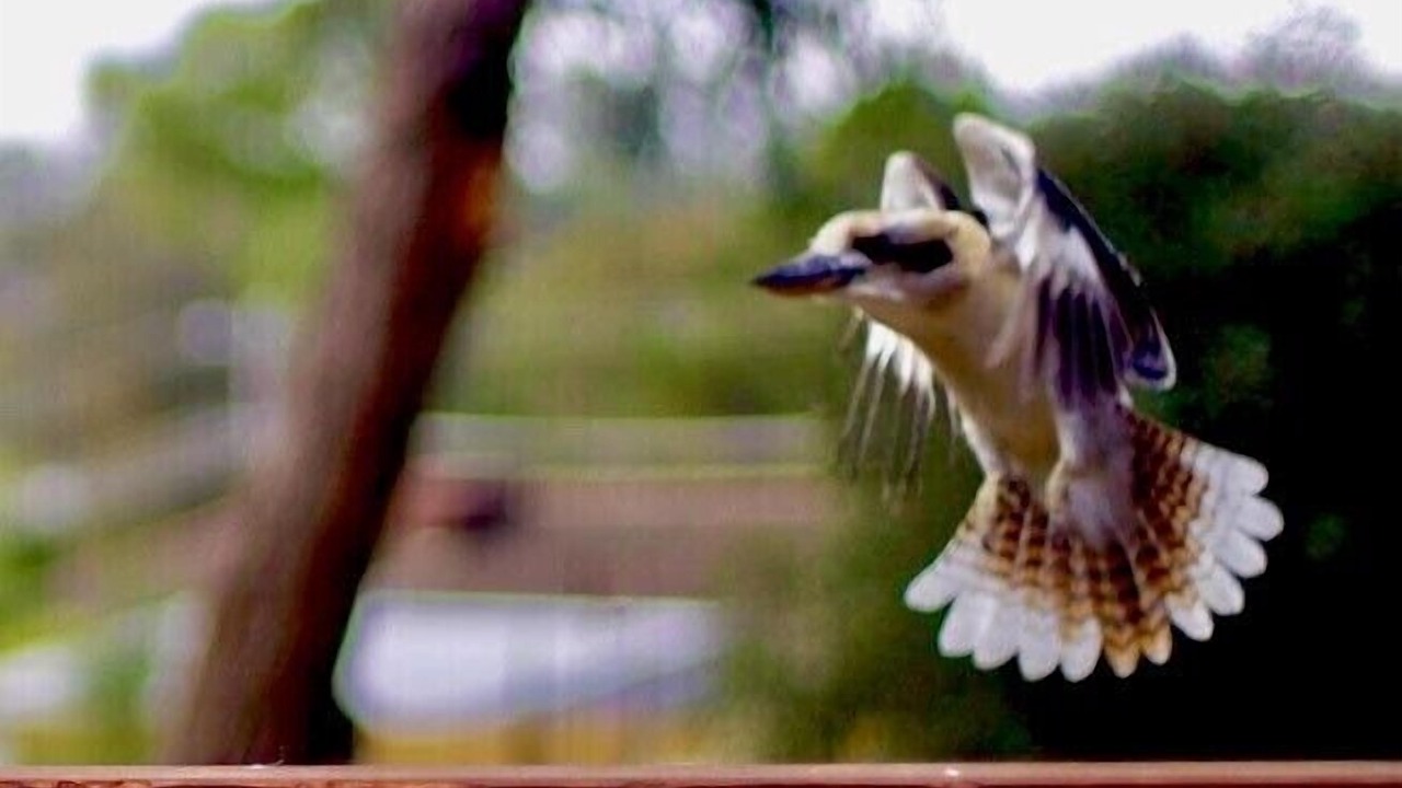 Photo of Others in Hepburn