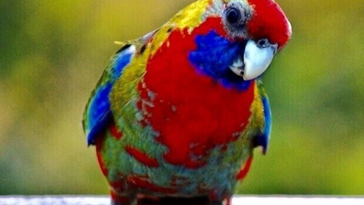 Photo of Others in Hepburn