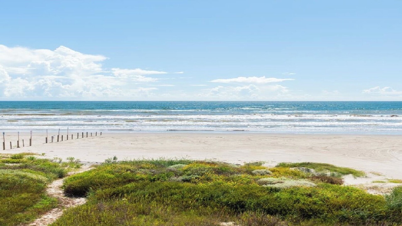 Photo of Others in Terramar Beach