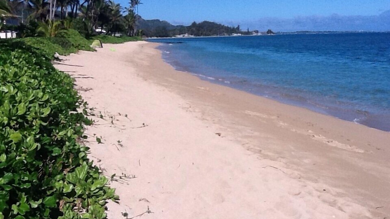 Photo of Others in Punaluu