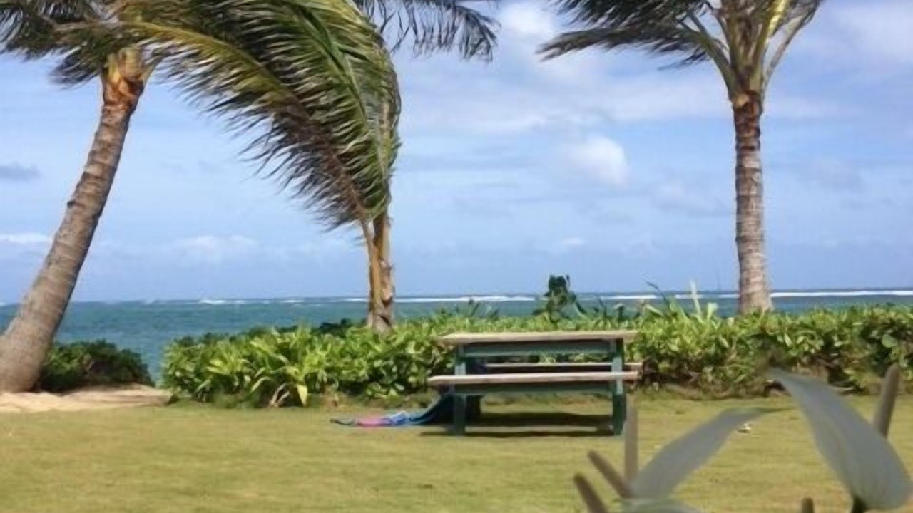 Photo of Others in Punaluu