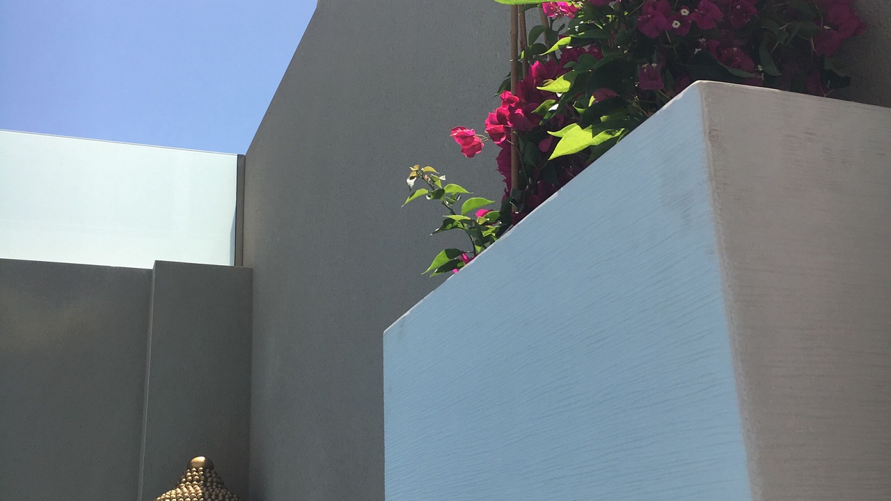 Photo of Outdoor in Torre de la Horadada