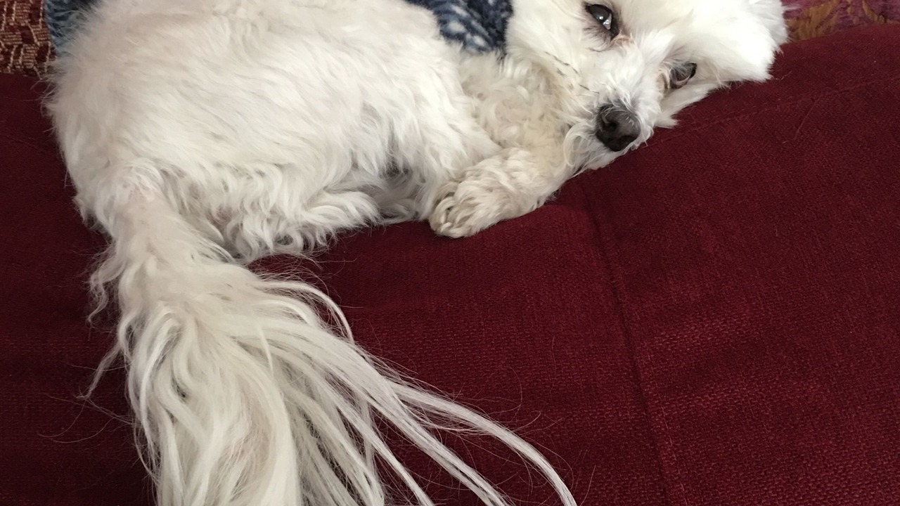 Photo of Others in Milford