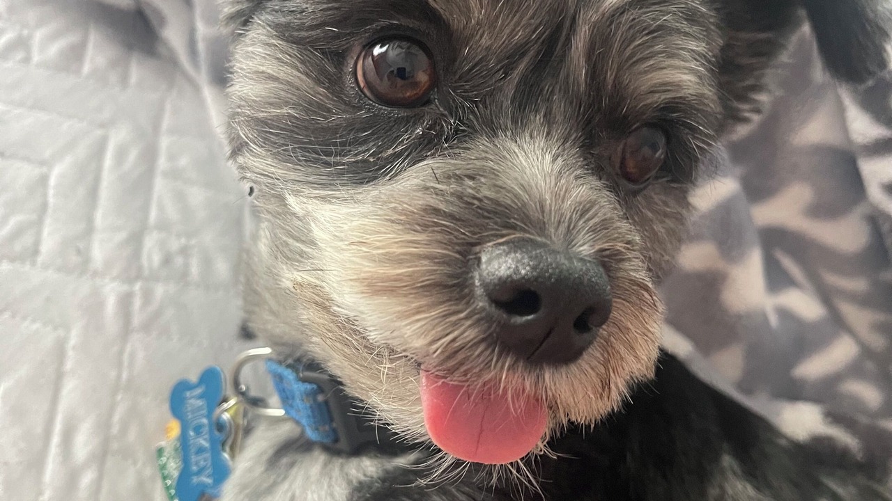 Photo of Others in Milford