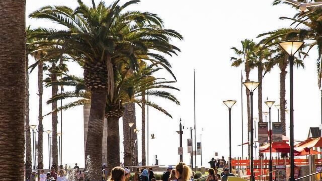 Photo of Outdoor in Glenelg