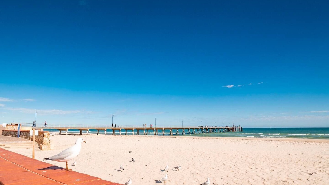 Photo of Others in Glenelg