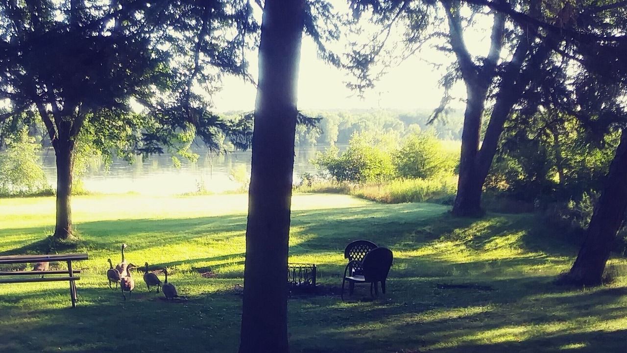 Photo of Outdoor in Baraboo