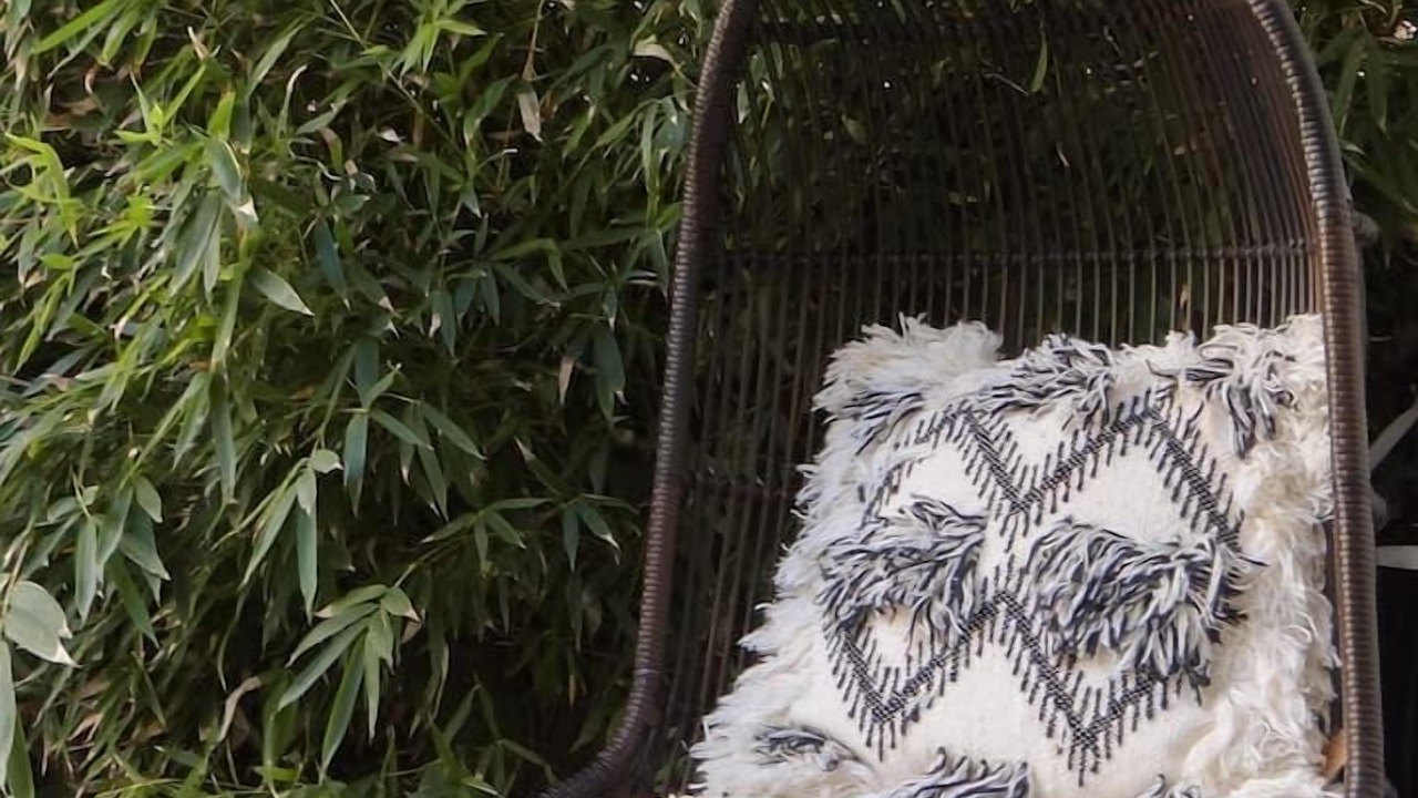 Photo of Outdoor in North of the Panhandle