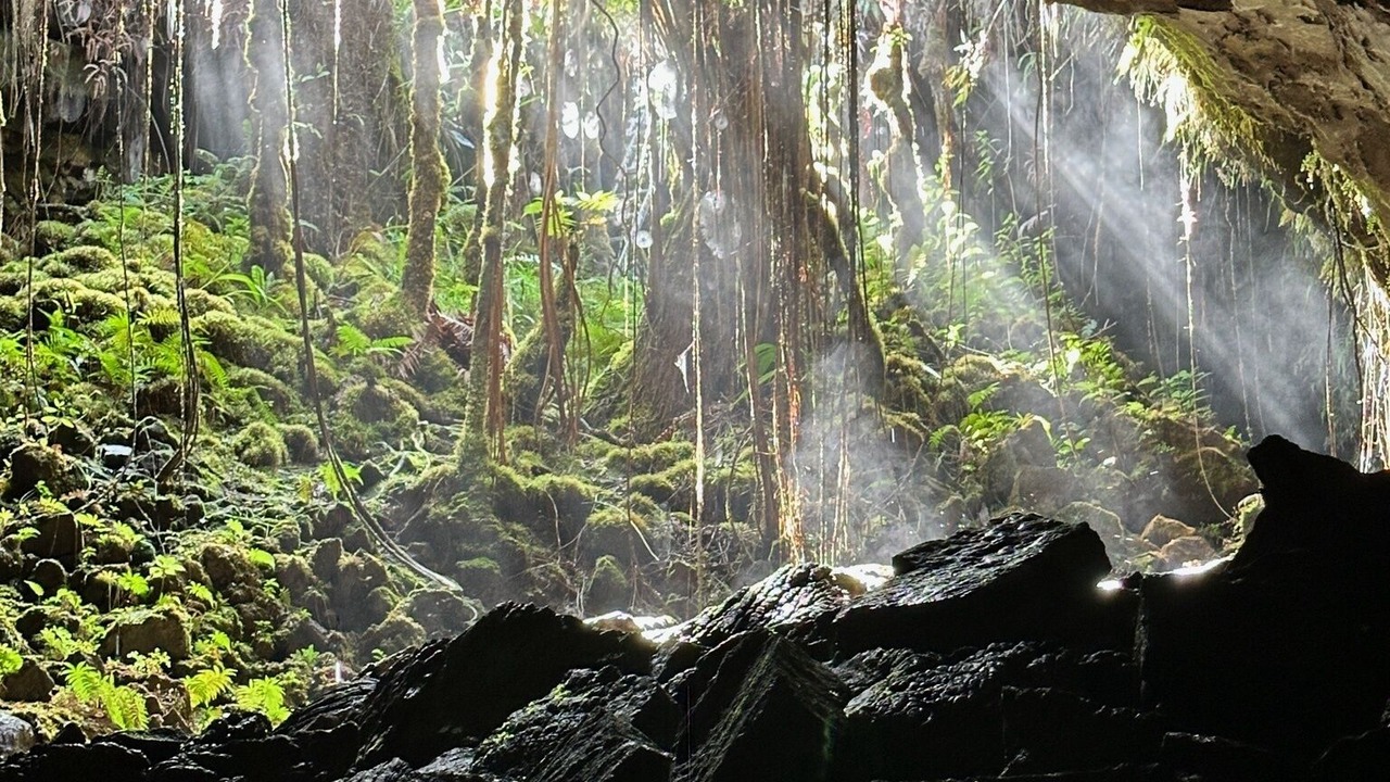 Photo of Others in Hawi