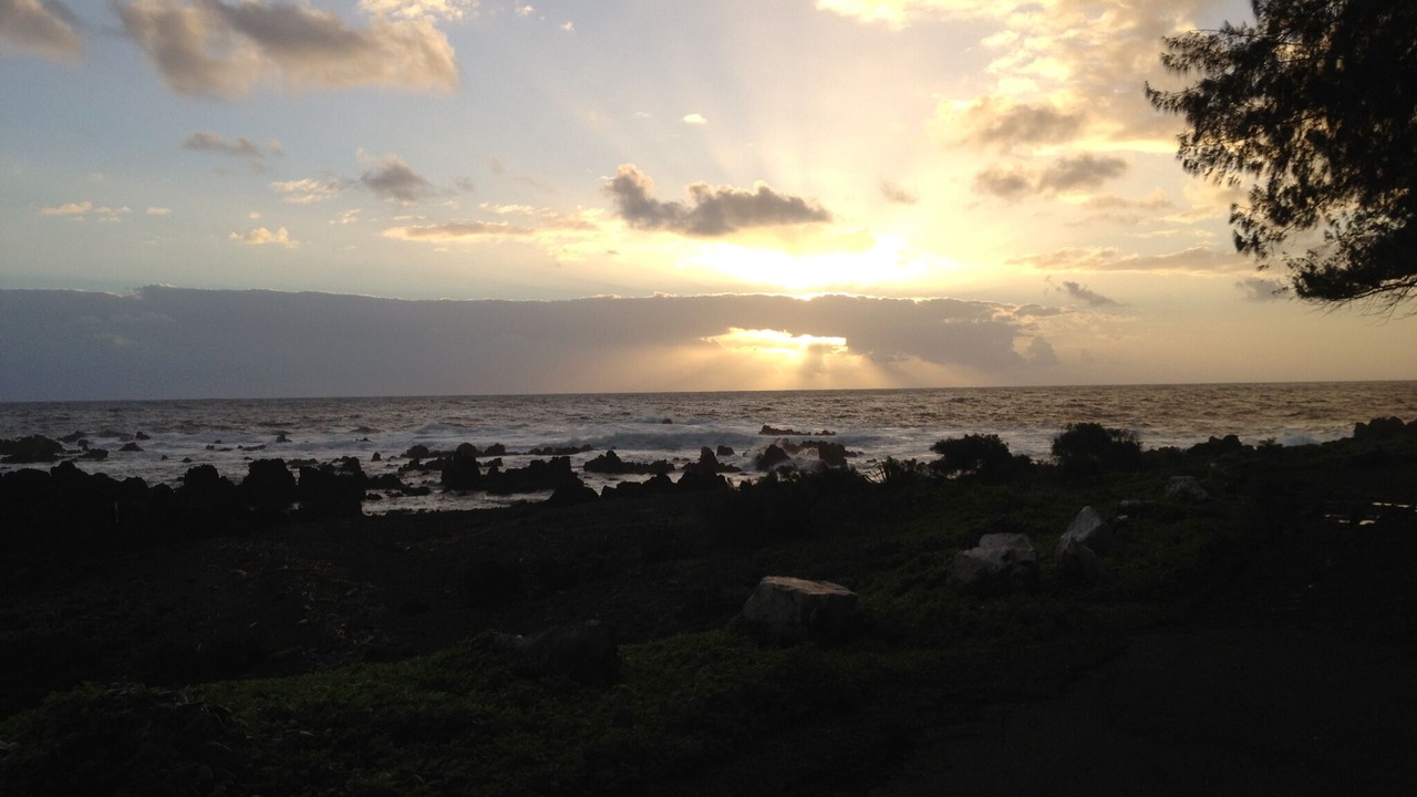 Photo of Others in Hawi