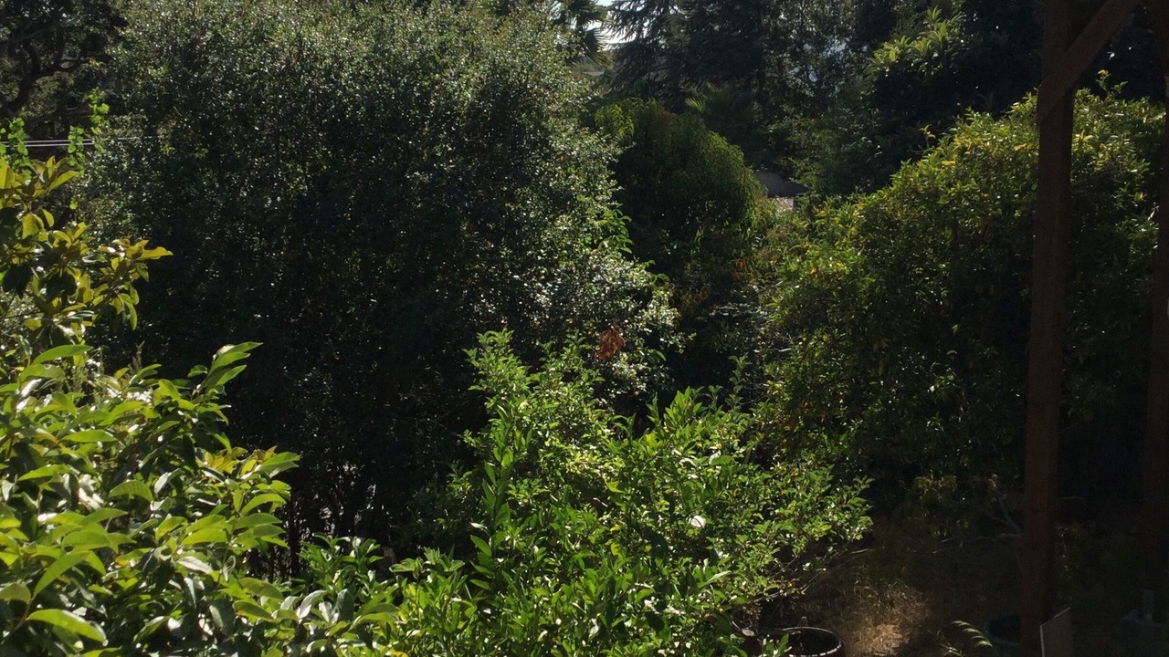 Photo of Outdoor in Lakeshore