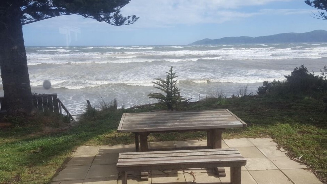 Photo of Others in Raumati Beach