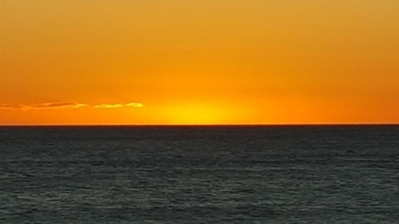 Photo of Others in Raumati Beach