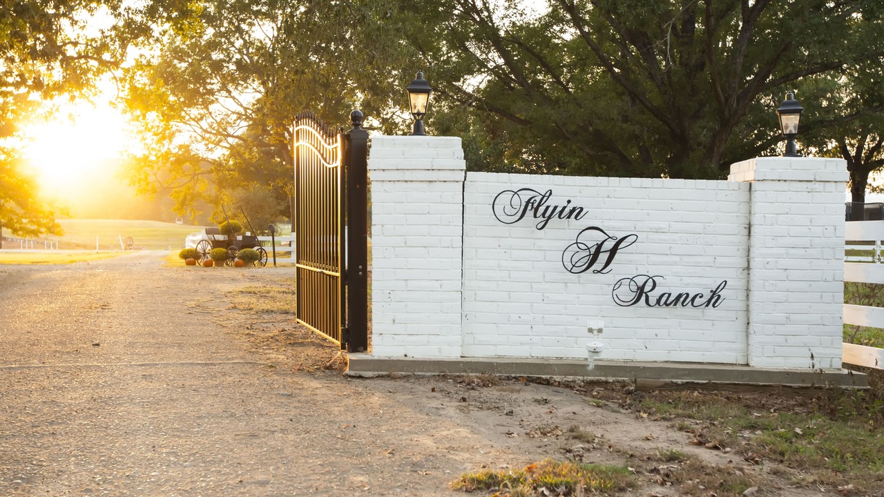 Photo of Outdoor in Tyler