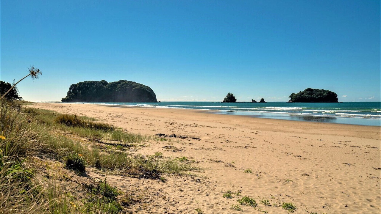 Photo of Others in Whangamata