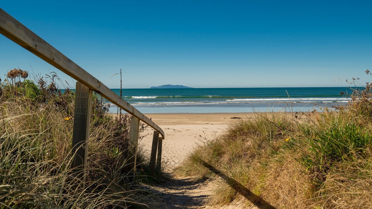 Photo of Others in Whangamata