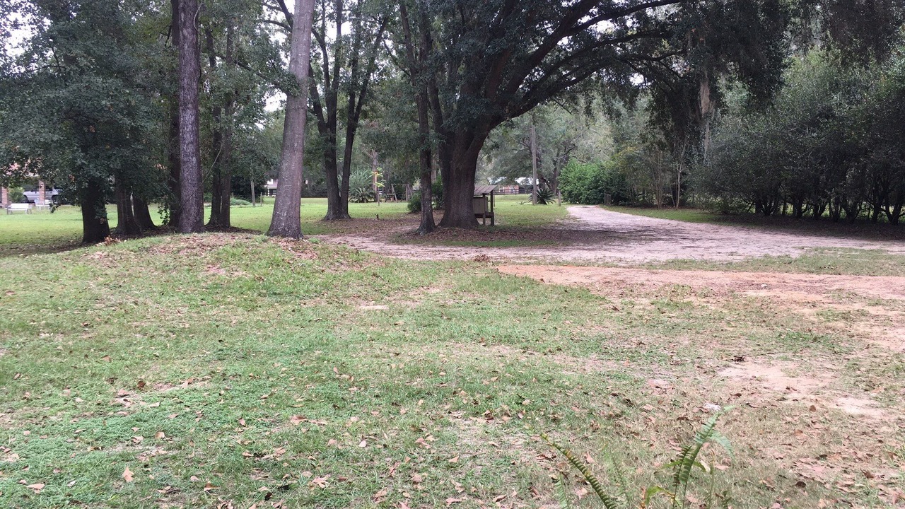 Photo of Others in Tallahassee