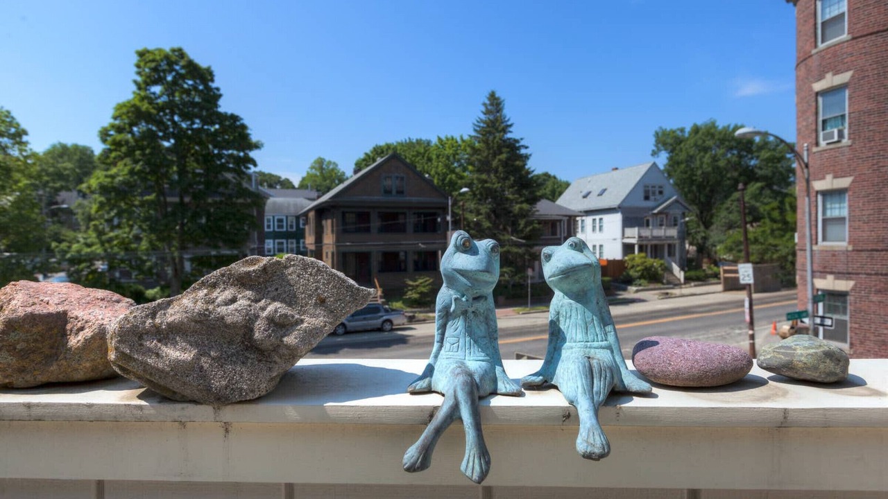 Photo of Outdoor in West Cambridge