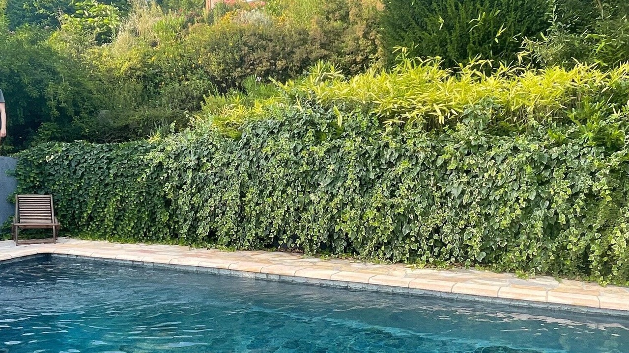 Photo of Outdoor in Chavornay