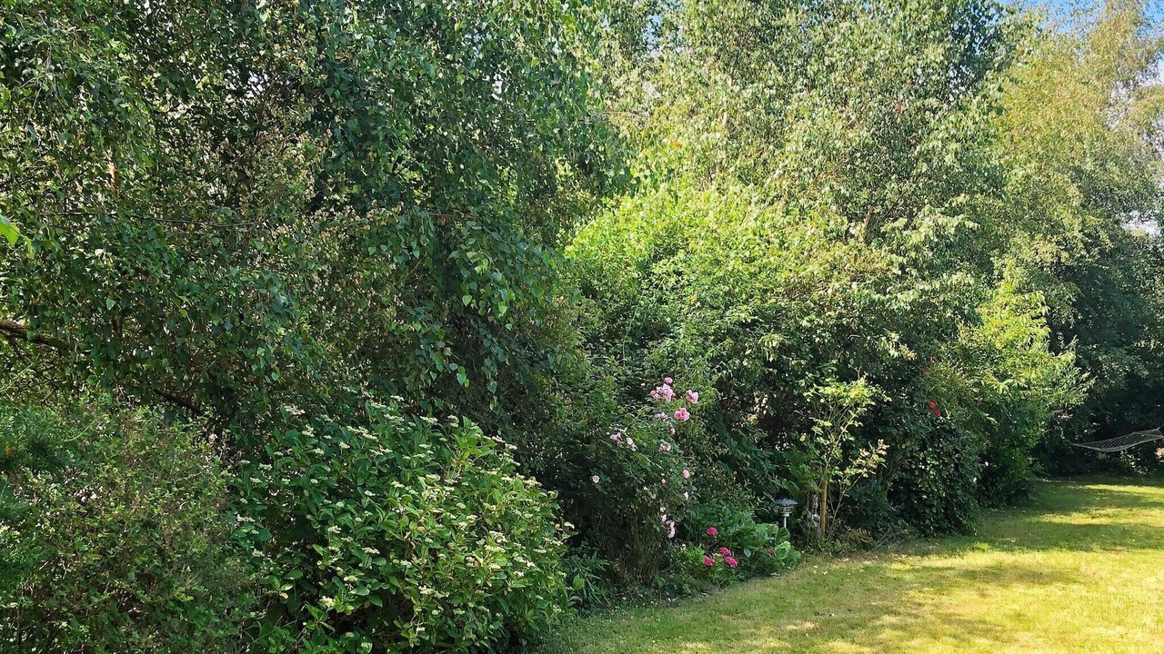 Photo of Others in Kongsnæs