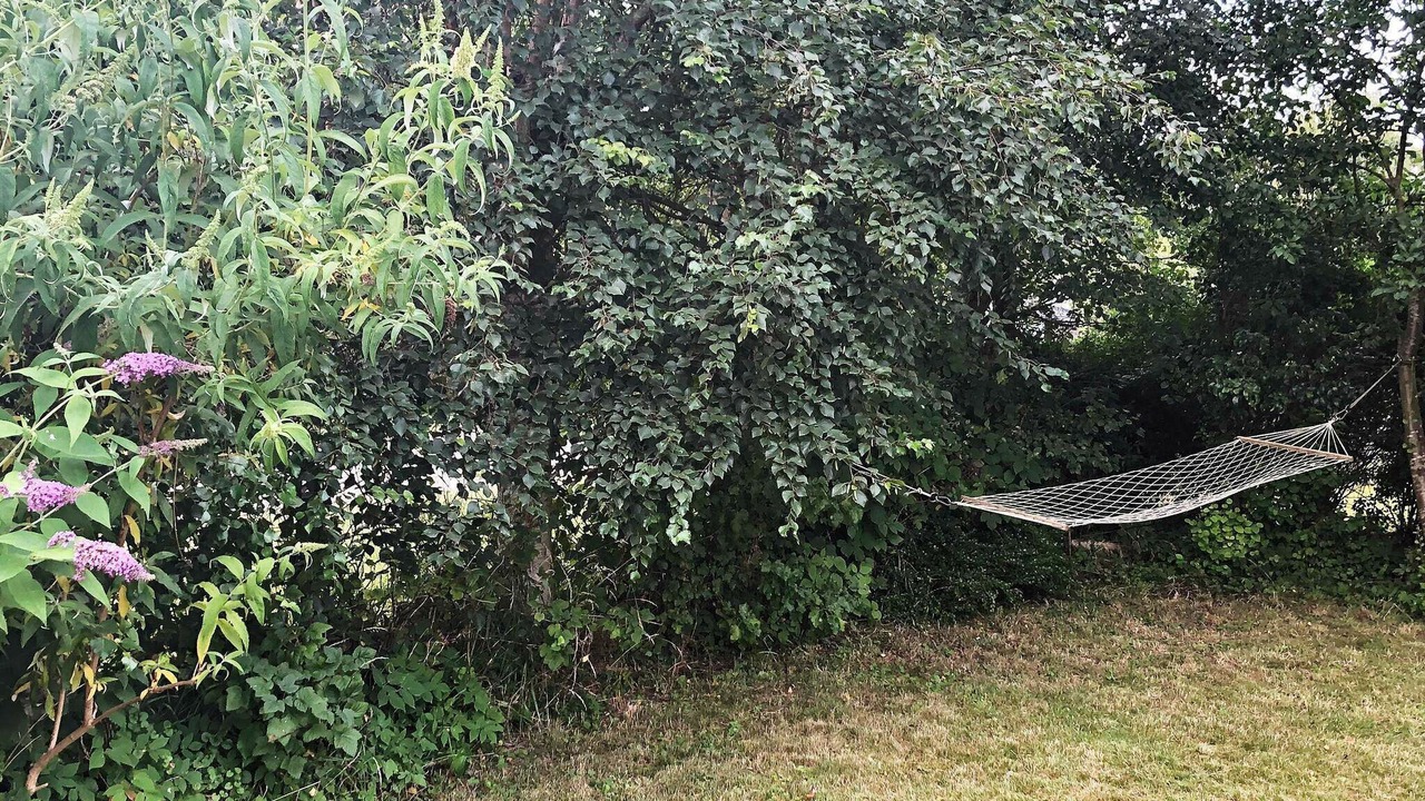 Photo of Outdoor in Kongsnæs