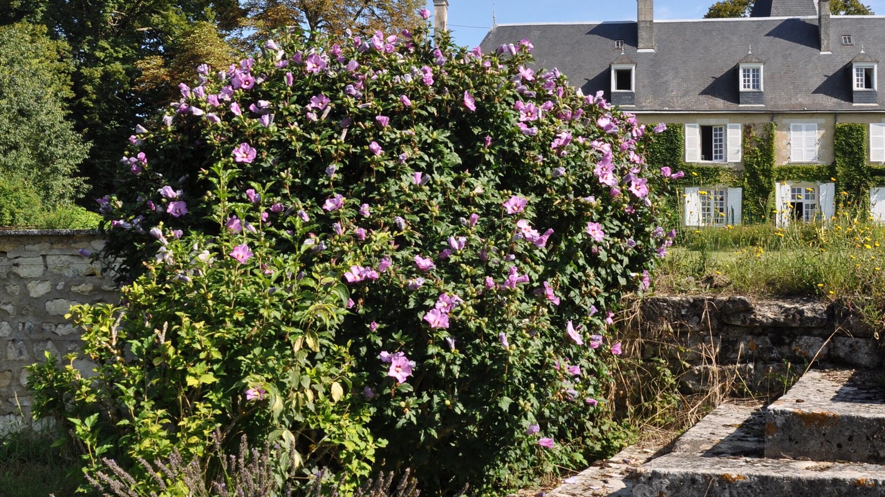 Photo of Outdoor in Jaunay-Marigny
