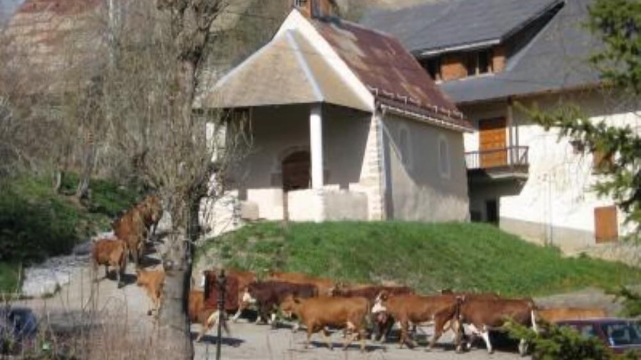 Photo of Others in Saint-Jean-d'Arves
