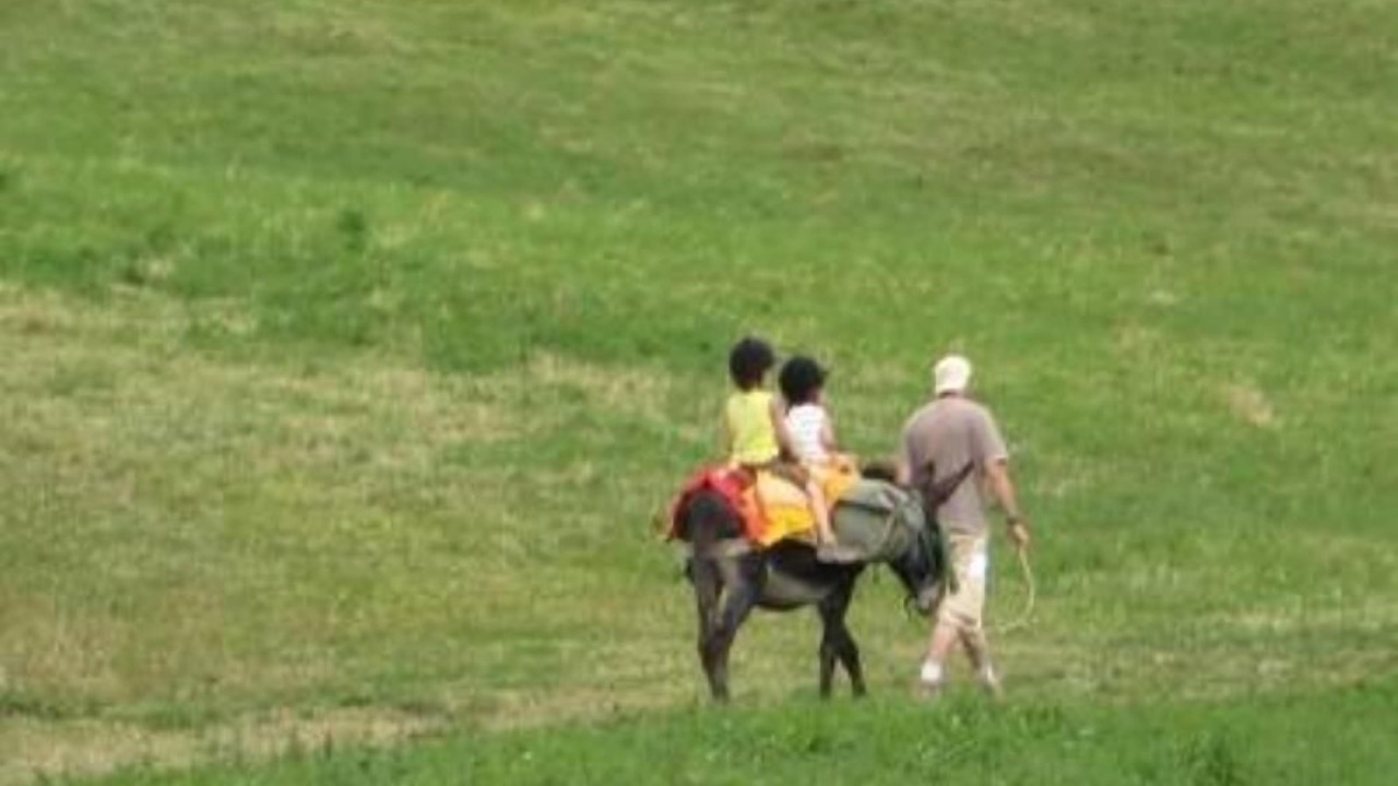 Photo of Others in Saint-Jean-d'Arves