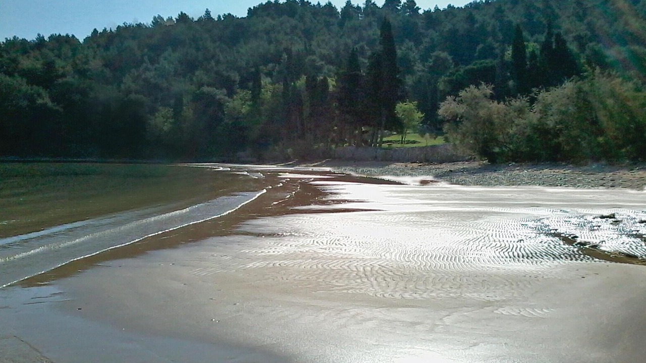 Photo of Others in Postira