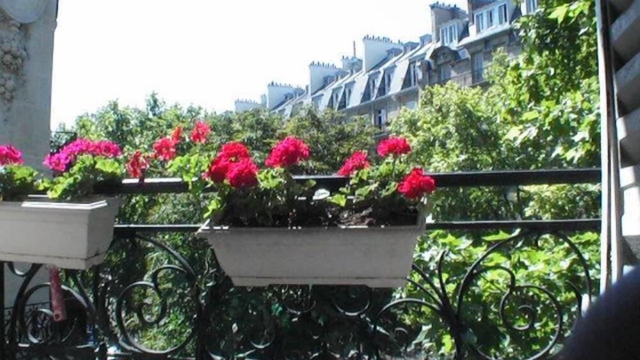 Photo of Outdoor in 17th Arrondissement