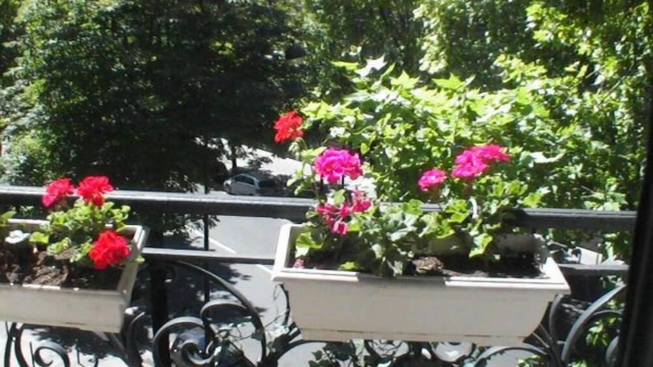 Photo of Outdoor in 17th Arrondissement