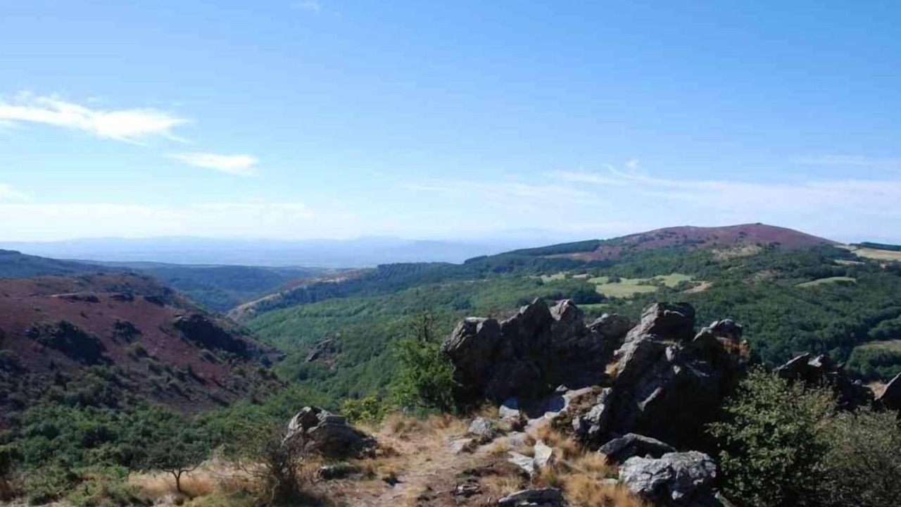 Photo of Others in Ferrals-les-Montagnes