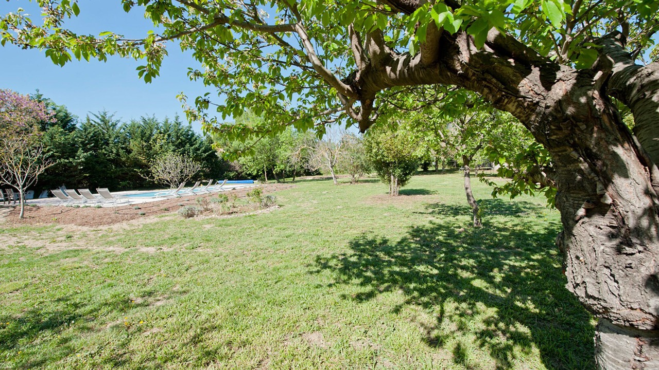 Photo of Outdoor in Canet