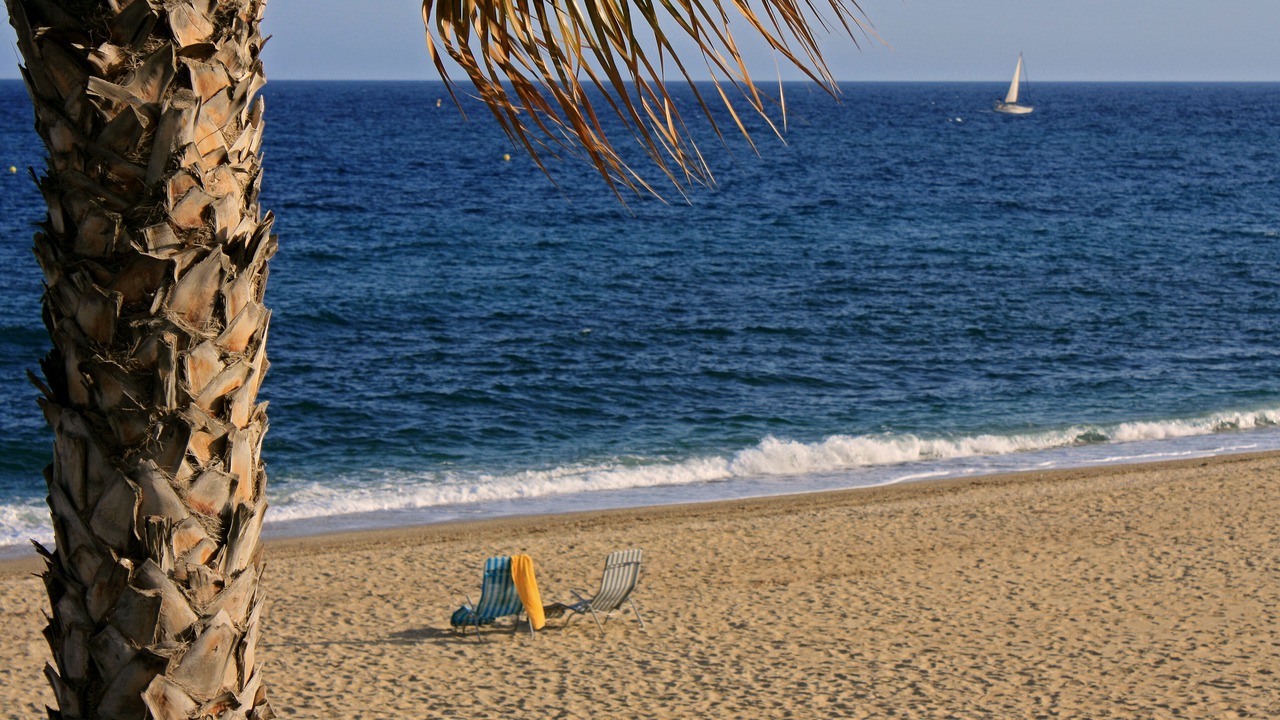 Photo of Others in Aguilas