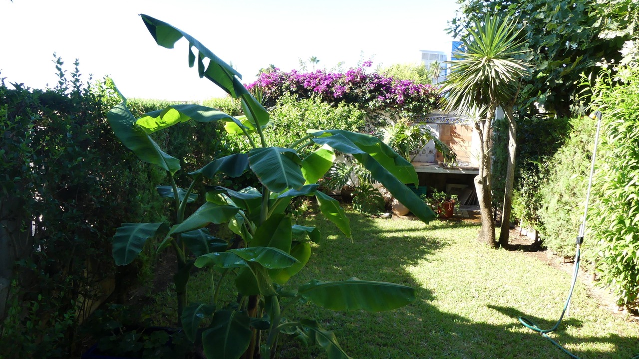 Photo of Outdoor in Benicarlo