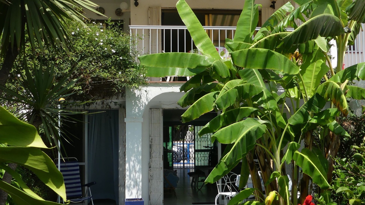 Photo of Outdoor in Benicarlo