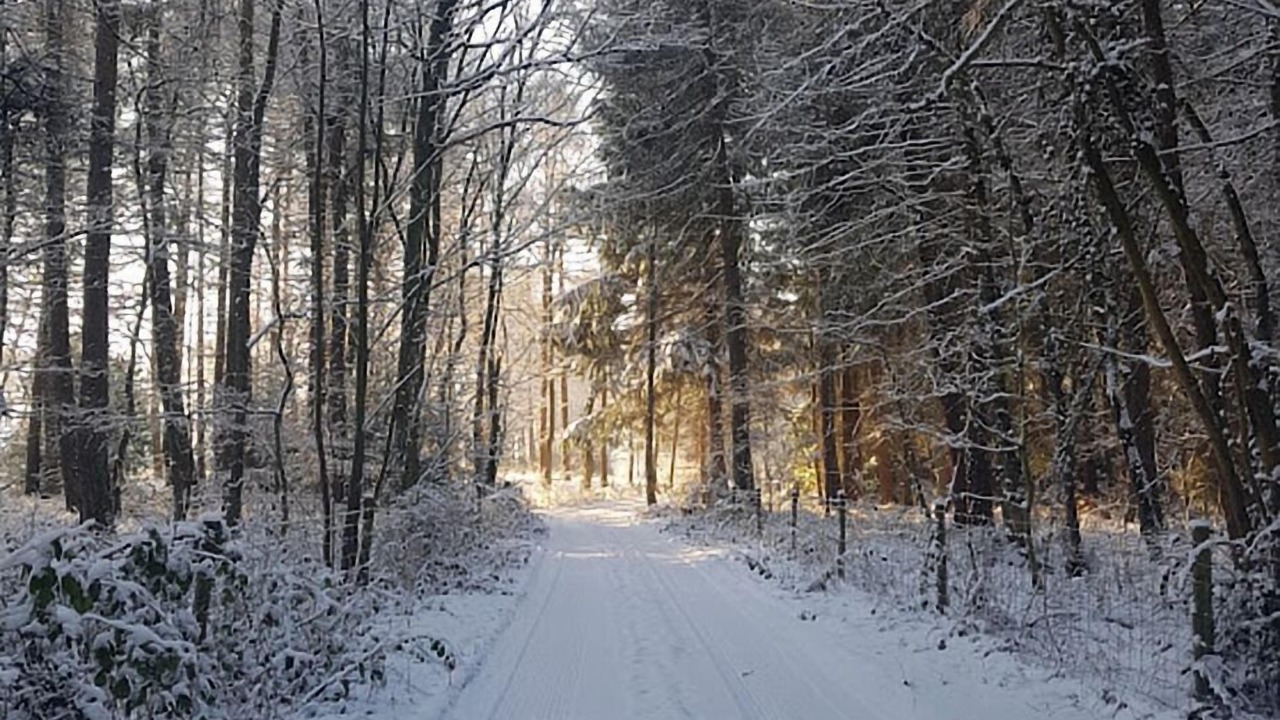 Photo of Others in Warlingham