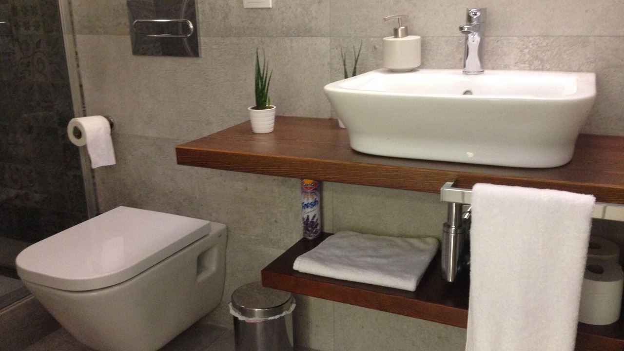 Photo of Bathroom in La Salzadella
