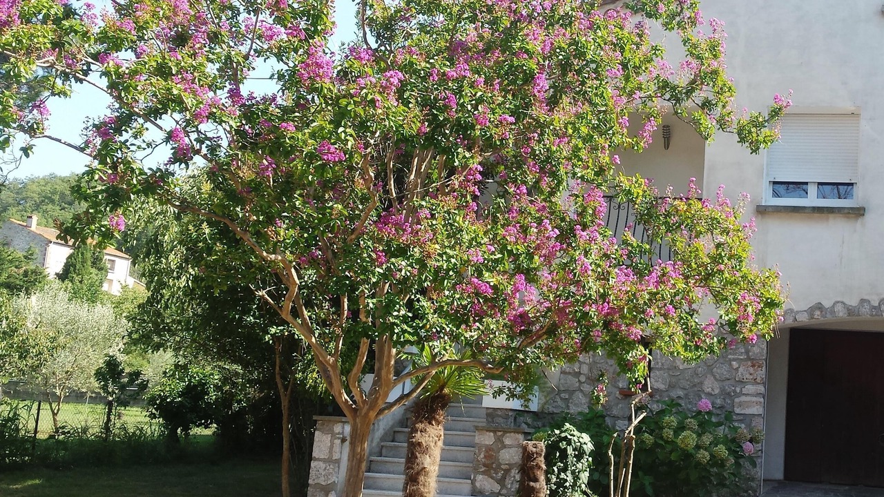 Photo of Outdoor in Ceret