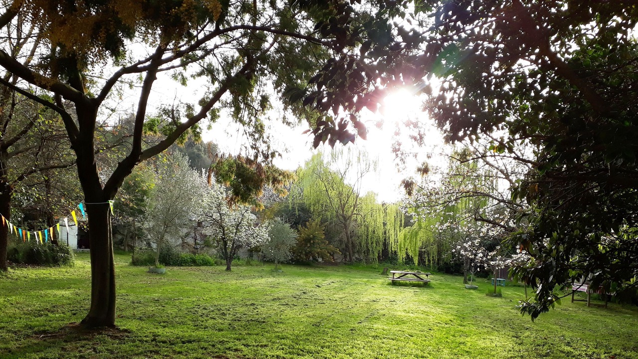 Photo of Outdoor in Ceret