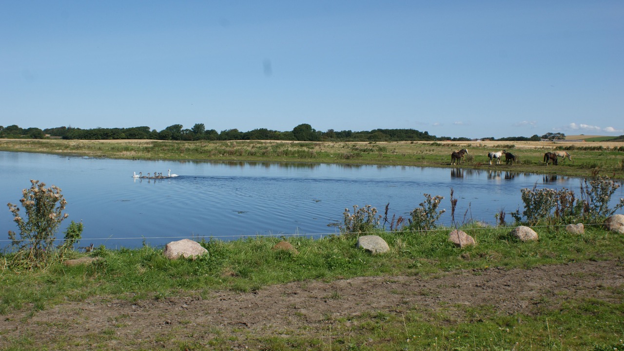 Photo of Outdoor in Sejerslev