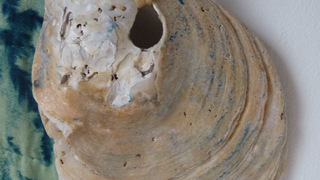 Photo of Others in Saint-Pol-de-Leon