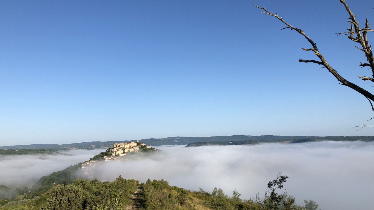 Photo of Others in Cordes-sur-Ciel