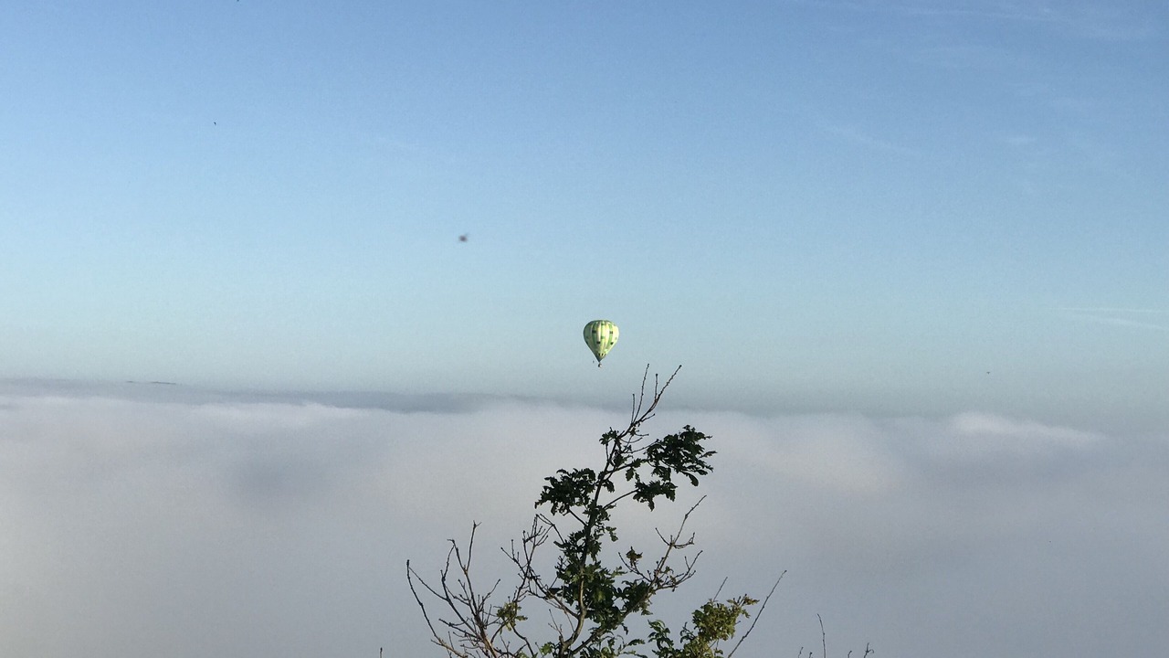 Photo of Others in Cordes-sur-Ciel